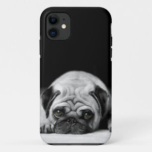 title_seo2 Sad Pug