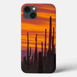 Funda Para iPhone 13 Saguaro, puesta de sol, Parque Nacional Saguaro