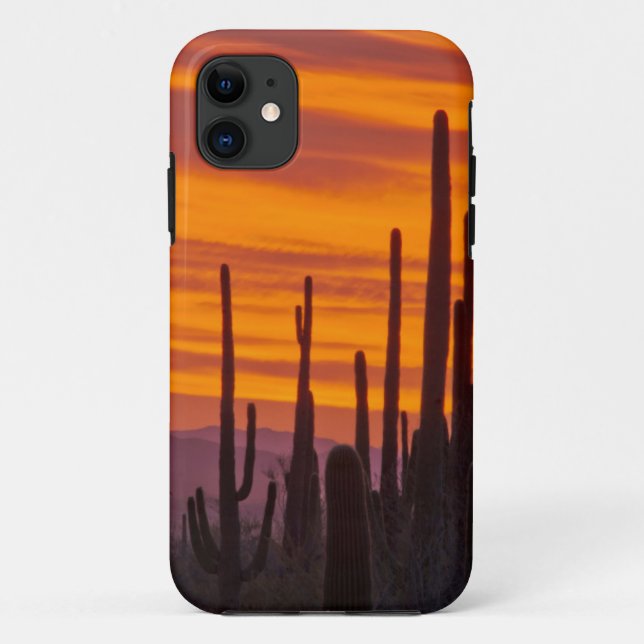 Funda De Case-Mate Para iPhone Saguaro, puesta de sol, Parque Nacional Saguaro (Reverso)