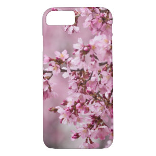 title_seo2 Sakura cerezos florecen en capas rosadas pasteles