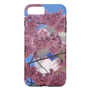 title_seo2 Sakura Cherry florece Americana