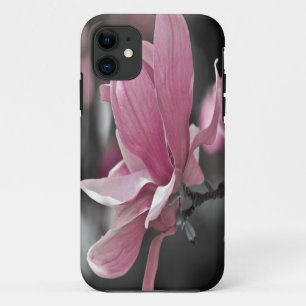 title_seo2 Salsa rosa japonés Magnolia