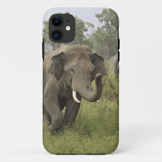 Funda De Case-Mate Para iPhone Saludo de elefante indio asiático (Reverso)