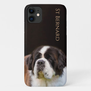 Funda Para iPhone 11 San Bernardo