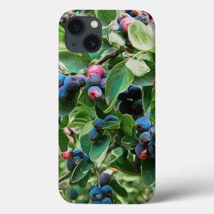 Funda Para iPhone 13 Saskatoon