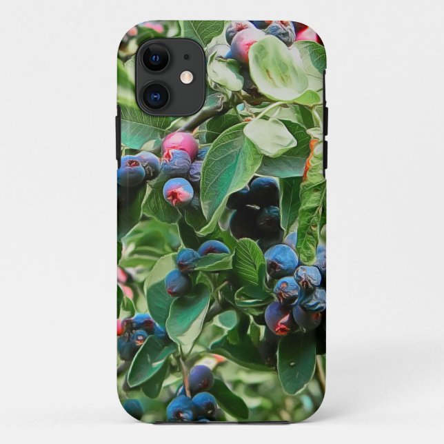 Funda De Case-Mate Para iPhone Saskatoon (Reverso)