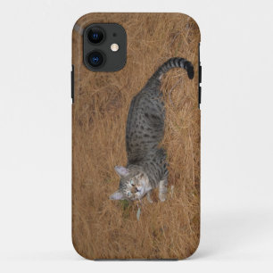 Funda Para iPhone 11 Savannah Cat iPhone 5