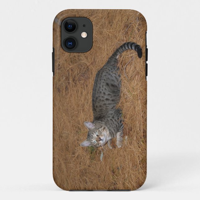 Funda De Case-Mate Para iPhone Savannah Cat iPhone 5 (Reverso)