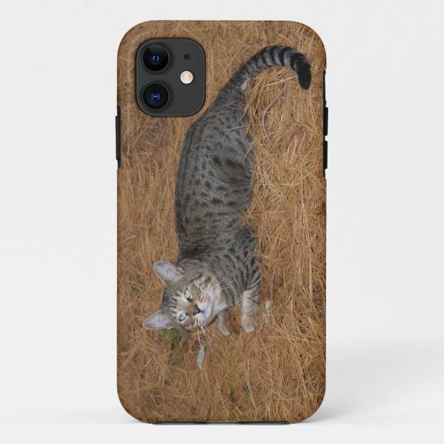 Funda De Case-Mate Para iPhone Savannah Cat iPhone 5 (Reverso)