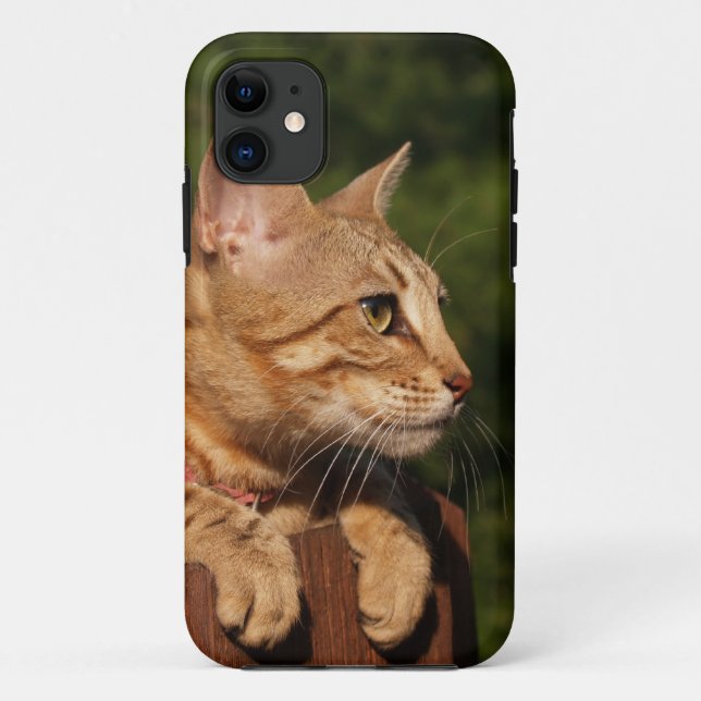 Funda De Case-Mate Para iPhone Savannah Cat iPhone 5 (Reverso)