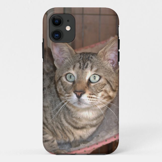 Funda De Case-Mate Para iPhone Savannah Cat iPhone 5 (Reverso)