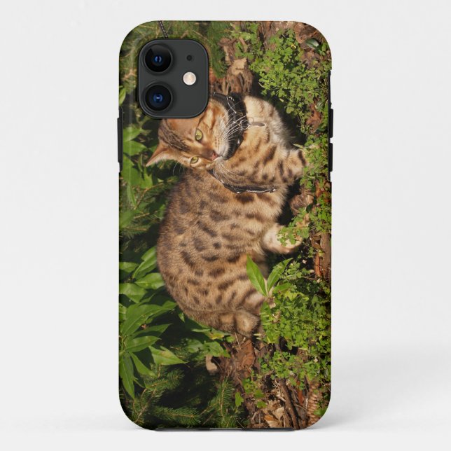 Funda De Case-Mate Para iPhone Savannah Cat iPhone 5 Funda-mate apenas ahí (Reverso)