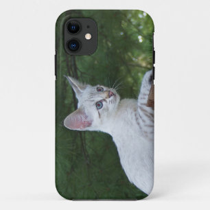 Funda Para iPhone 11 Savannah Cat iPhone 5 Funda-Mate ID