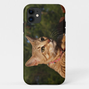 title_seo2 Savannah Cat iPhone 5 Funda-Mate ID