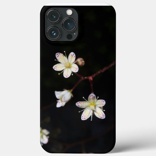 Funda De Case-Mate Para iPhone Saxifrage localizado para teléfonos (Reverso )