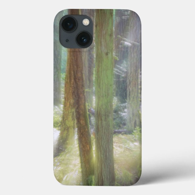 Funda De Case-Mate Para iPhone Scenic Beach State Park (Reverso)