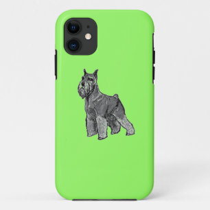 title_seo2 Schnauzer
