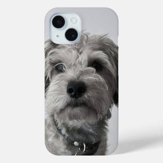 Funda De Case-Mate Para iPhone Schnauzer Puppy (Reverso )