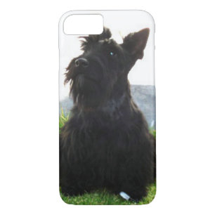 title_seo2 Scottish_Terrier sitting.png