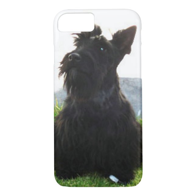 Funda De Case-Mate Para iPhone Scottish_Terrier sitting.png (Reverso)