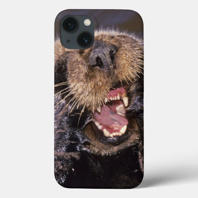 Funda De Case-Mate Para iPhone Sea Otters, Enhydra lutris 6 (Reverso)