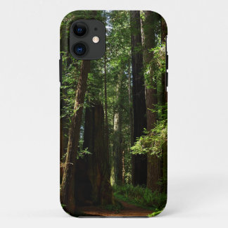 Funda Para iPhone 11 Secuoyas y ferris en el Parque Nacional Redwood