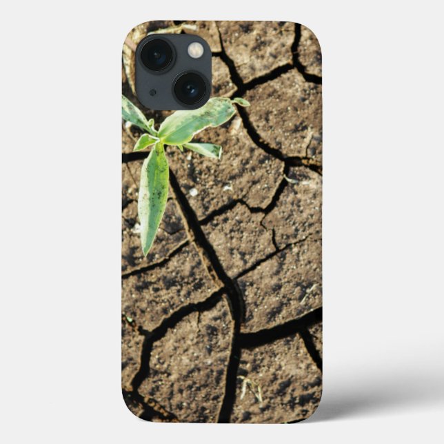 Funda De Case-Mate Para iPhone Seedling In Cracked Earth (Reverso)