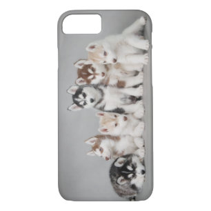 Funda Para iPhone 8/7 Seis huskies