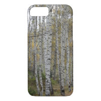 Selva birch foto Apple iPhone 8/7, apenas ahí