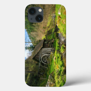 title_seo2 Selva negra Grist Mill Alemania