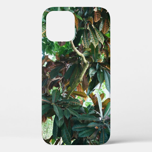 Funda De Case-Mate Para iPhone Selva tropical verde (Reverso )