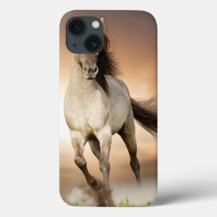 title_seo2 Semental salvaje que corre en puesta del sol