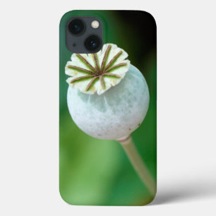 Funda Para iPhone 13 Semilla de Cabeza de Flor de Amapola, Cabo Occiden