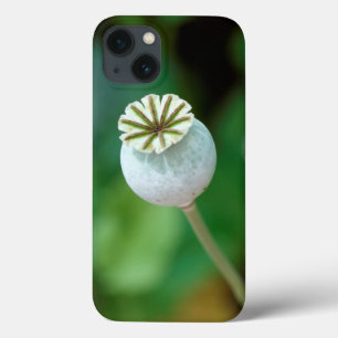 Funda Para iPhone 13 Semilla de cabeza de flor de amapola, Western Cape