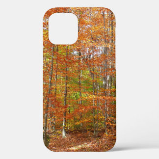 Funda Para iPhone 12 Sendero de caída de luz solar en Laurel Hill Park