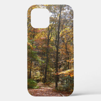 Funda Para iPhone 12 Sendero Sunlit Fall en el Parque Estatal Laurel Hi