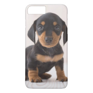 Funda Para iPhone 8 Plus/7 Plus Sentada miniatura del Dachshund