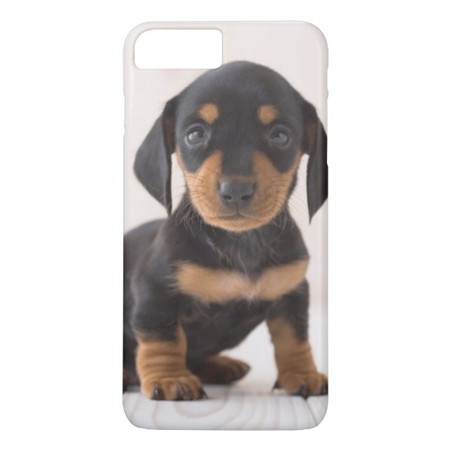 Funda De Case-Mate Para iPhone Sentada miniatura del Dachshund (Reverso)