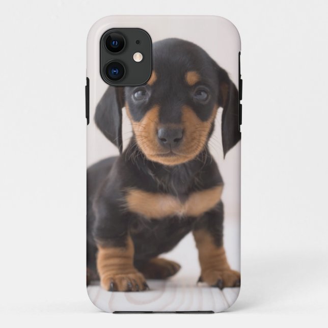 Funda De Case-Mate Para iPhone Sentada miniatura del Dachshund (Reverso)
