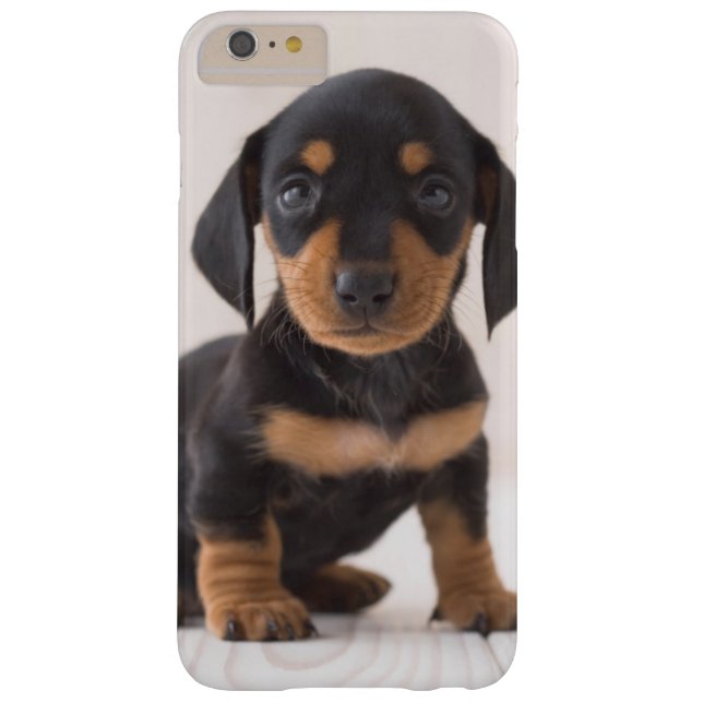 Funda De Case-Mate Para iPhone Sentada miniatura del Dachshund (Reverso)
