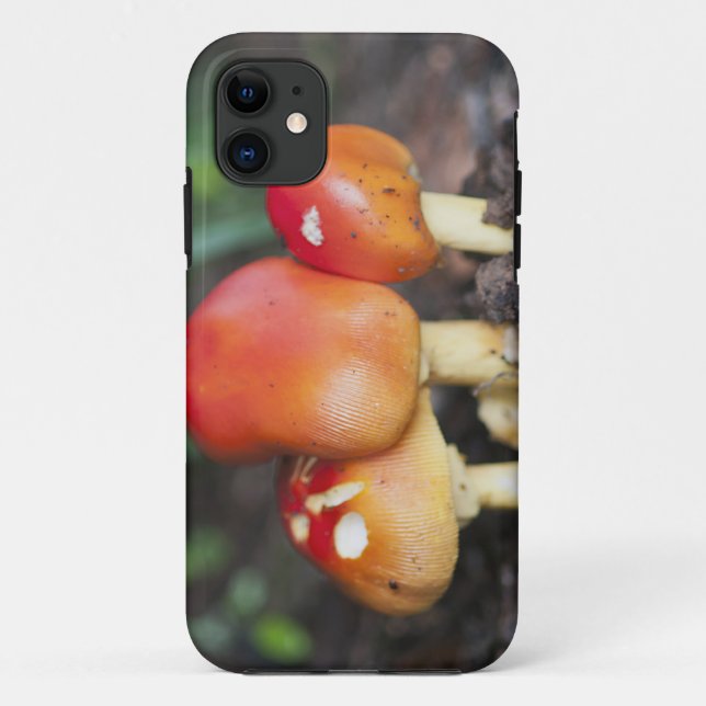 Funda De Case-Mate Para iPhone Setas familiares de Amanita (Reverso)