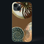 title_seo2 Shell de cacao<br><div class="desc">Obtén esta imagen única de la concha roja y azul en tu próximo producto. Este increíble fondo de cacao estas dos conchas únicas. Llévate la playa a donde vayas.</div>