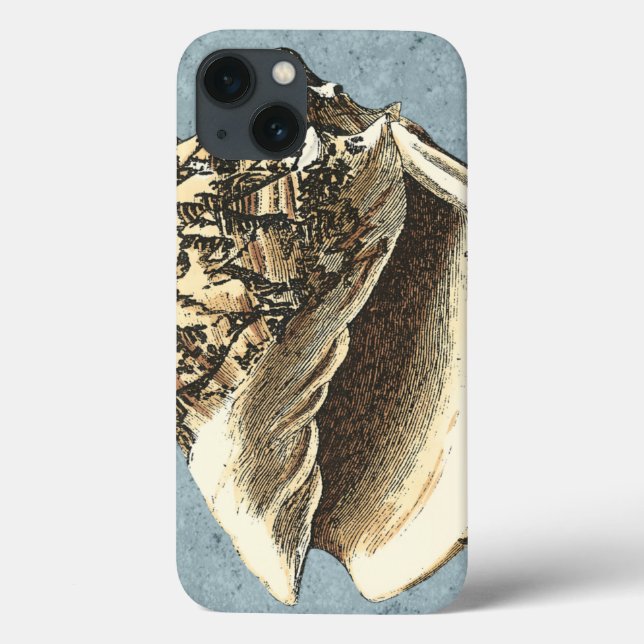 Funda De Case-Mate Para iPhone Shell de conchas encalladas (Reverso)
