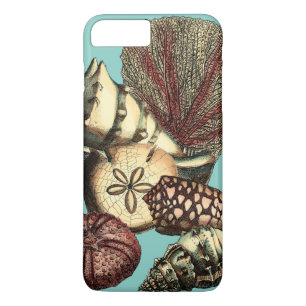 title_seo2 Shell turquesa y colección de corales rojos