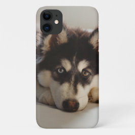 Funda Para iPhone 11 Shusky siberiano negro y blanco