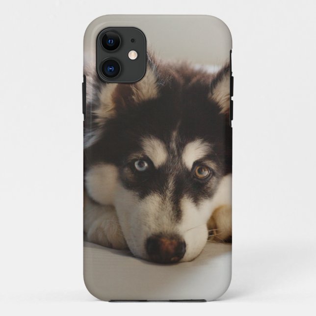 Funda De Case-Mate Para iPhone Shusky siberiano negro y blanco (Reverso)