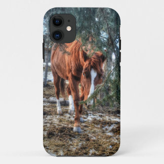title_seo2 Shy Sorrel Mare y Branches Horse lover Gift