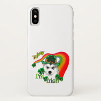 Siberian Husky St Patrick