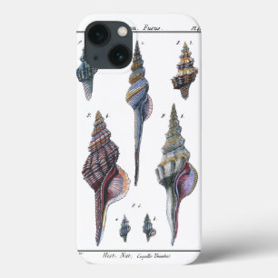 Funda Para iPhone 13 Siete Cascos Coloridos