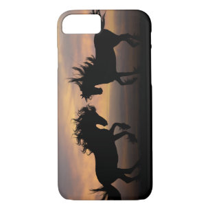 title_seo2 Silhouette de Caballos Salvajes